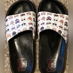 Bobs for Cats by Sketchers slides